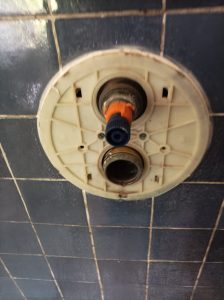 WhatsApp Image 2024-06-09 at 17.00.27