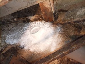 WhatsApp Image 2024-06-09 at 17.00.28 (3)